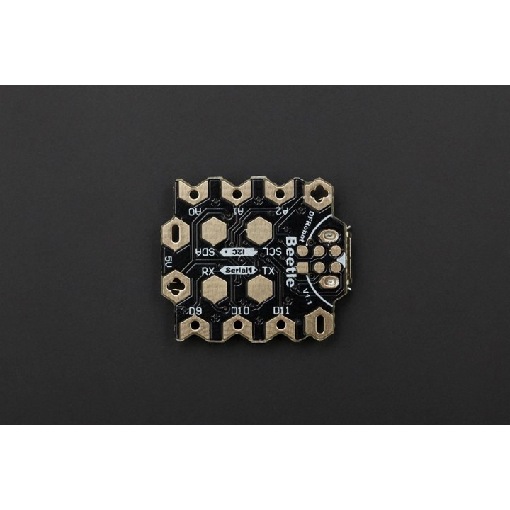 DFRobot Beetle